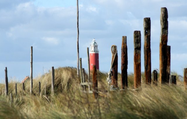 texel15.jpg