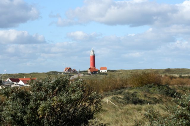 texel17.jpg